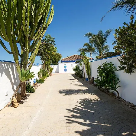 Yuca Con Piscina Privada En Vakantiehuis Conil De La Frontera