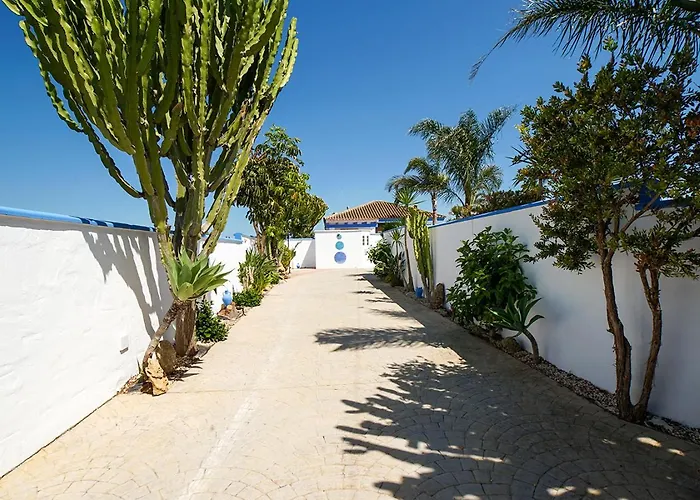 Yuca Con Piscina Privada En Casa vacanze Conil De La Frontera